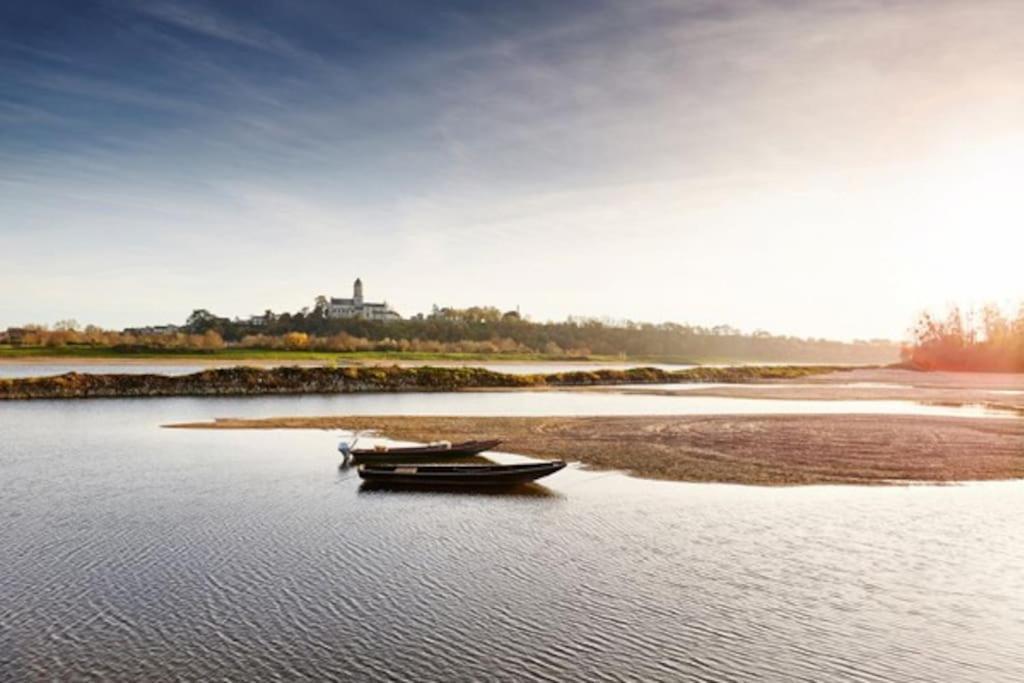 Appart' Cosy En Bord De Loire Saumur Luaran gambar